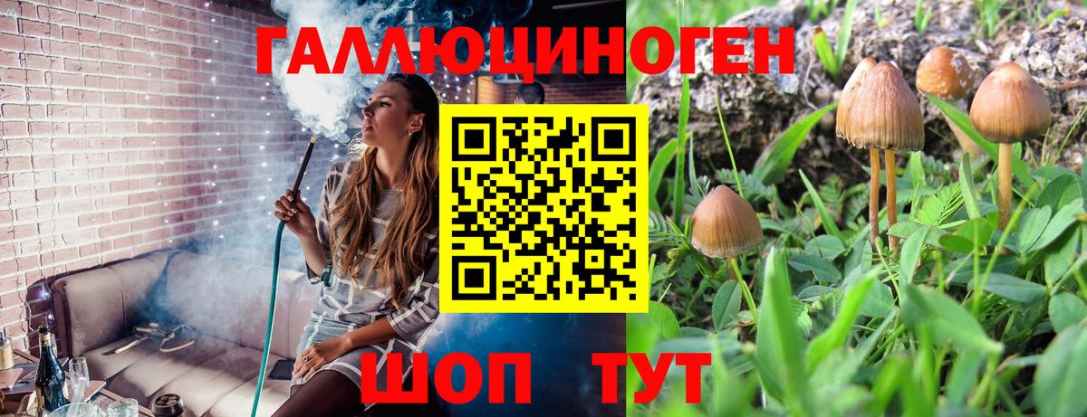 Псилоцибиновые грибы ЛСД  Псилоцибиновые грибы MAGIC MUSHROOMS  Лыткарино  Вход с VPN 