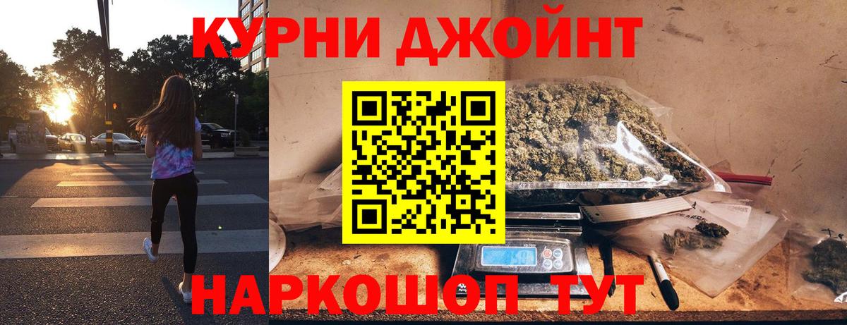 Конопля сатива Лыткарино
